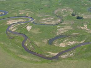 meander