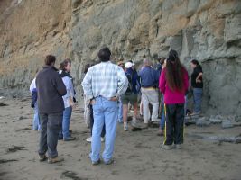Students gatherered around fossil in cliff
