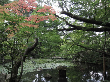 Japanese temple pond