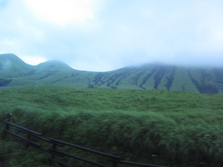 Green hillside in rain