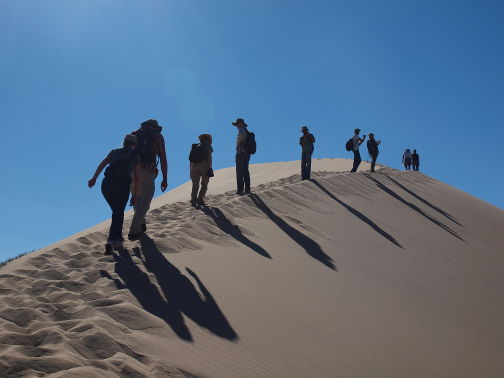 People walking up crest of sand dune