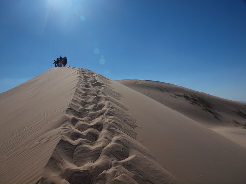 People walking up crest of sand dune