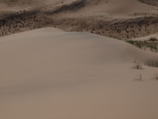 Panorama from top of sand dune
